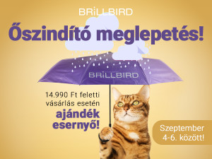 Ajándék esernyő☔